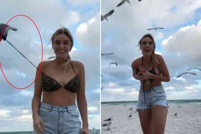 Vlogger Lele Pons loses bikini after seagull caught untying top on camera - nypost.com - USA - Miami - Venezuela