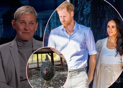 Prince Harry And Meghan Markle Adopted A Chicken From Ellen DeGeneres?! - perezhilton.com - Hollywood