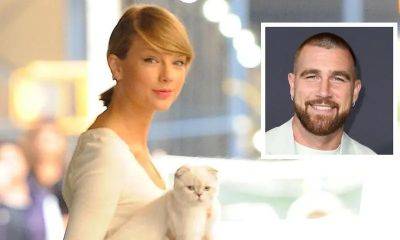 Does Taylor Swift’s cat have a higher net worth than Travis Kelce? - us.hola.com - Scotland