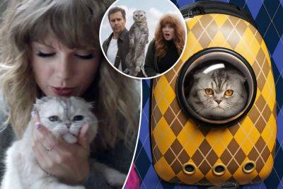 The cat’s meow: How Taylor Swift’s feline inspired the spy thriller ‘Argylle’ - nypost.com - Scotland - county Howard - county Dallas - county Henry