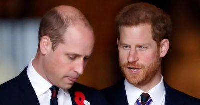 Prince Harry's revealing statement to William that left Princess Diana stunned - www.dailyrecord.co.uk - London