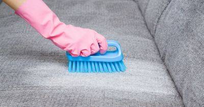 Clever £1.14 sofa cleaning hack to remove stubborn stains 'effortlessly' - www.dailyrecord.co.uk