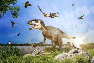 World’s Oldest Bird Fossil To Be Explored In PBS Doc - deadline.com - France - China - Canada
