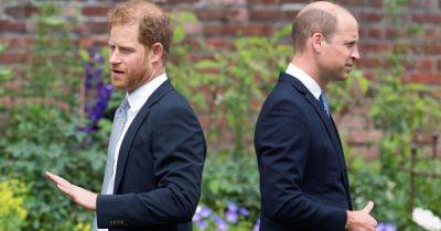 Prince Harry's nine-word outburst after brother William confessed 'he didn't want to be king' - www.ok.co.uk