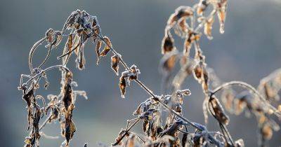 Cold weather alert issued across UK as temperatures to plunge this weekend - www.manchestereveningnews.co.uk - Britain - Manchester