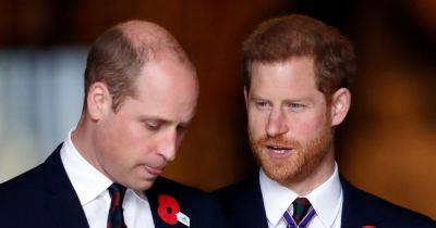 William's harsh reaction to Harry's panic attack that 'devastated' his brother - www.ok.co.uk - county Williams