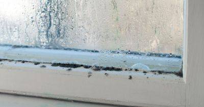 Simple trick to prevent window condensation that all homeowners should follow - www.dailyrecord.co.uk
