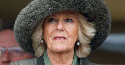 Queen Camilla plans 'perfect revenge' on Prince Harry after his cruel attacks in Spare - www.dailyrecord.co.uk