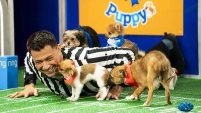 ‘Puppy Bowl’ Turns 20: What It Takes to Pull Off TV’s Cutest Match-Up - variety.com - New York - county Falls