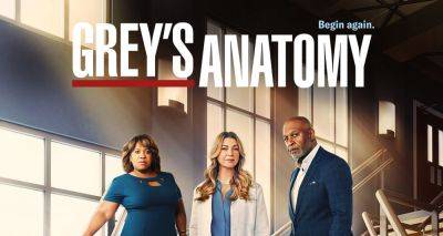 'Grey's Anatomy' Cast Update for Season 20: Two Fan-Favorites Returning, Two Actors Join the Cast! - www.justjared.com