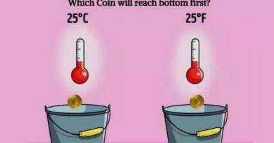 Only those with 'genius level IQ' can figure out which coin will land in bottom of bucket - www.dailyrecord.co.uk