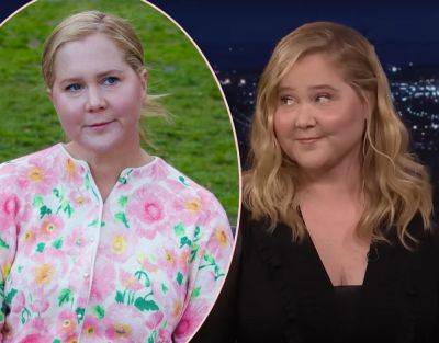 Amy Schumer Claps Back At Hate Comments Over Her 'Puffier' Face! - perezhilton.com
