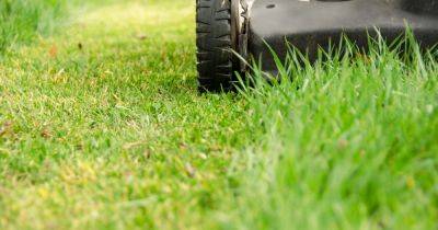 Gardening experts share exact date you should cut your grass after winter - www.dailyrecord.co.uk