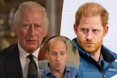 Prince Harry Has A ‘Zero Percent Chance’ Of Returning To Royal Duties Amid King Charles’ Cancer Battle: Report - perezhilton.com