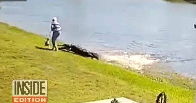 Horrifying moment alligator pounces on woman walking dog and drags her to her death - www.dailyrecord.co.uk - Spain - USA - Florida - county Pierce