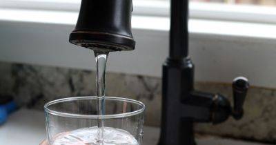 Perth and Kinross councillors question Scottish Government survey which suggests people should drink less water - www.dailyrecord.co.uk - Scotland - county Jack