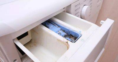 'Little-known' washing machine button that helps to clean drawer is leaving people stunned - www.manchestereveningnews.co.uk - Manchester