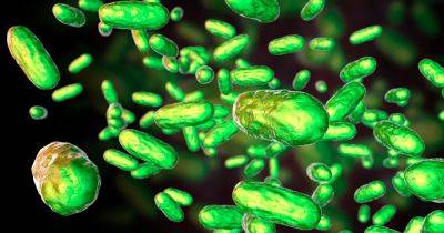 Plan to keep deadly legionella bacteria out of Falkirk Council water underway - www.dailyrecord.co.uk