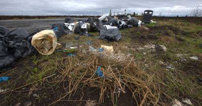 Suspected cannabis grow dumped in bags on the moors - www.manchestereveningnews.co.uk