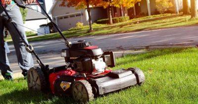 Little known lawn-mower hack will make grass 'thick and healthy' by summer - www.dailyrecord.co.uk