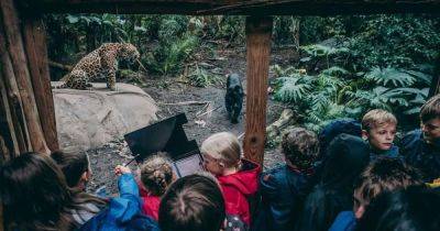 Chester Zoo is letting school kids visit for FREE - www.manchestereveningnews.co.uk - Manchester - Smith