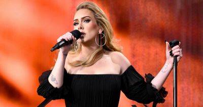 Adele forced to postpone next month of Las Vegas residency after sickness 'took toll' on her voice - www.ok.co.uk - Las Vegas