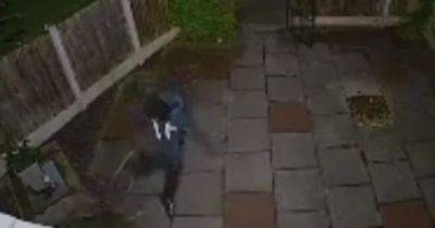 CCTV captures moment man beats and THROWS dog in horrific attack - www.manchestereveningnews.co.uk - Manchester - Belgium