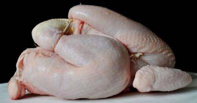 Woman fails to wash her raw chicken before cooking and gets everyone in a flap - www.manchestereveningnews.co.uk - Britain - USA - Manchester