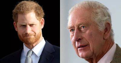 Prince Harry's telling gesture hints how King Charles meeting in UK went - www.dailyrecord.co.uk - Britain - USA