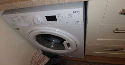 Man killed cat after putting it in washing machine and switching it on - www.manchestereveningnews.co.uk - county Bradford