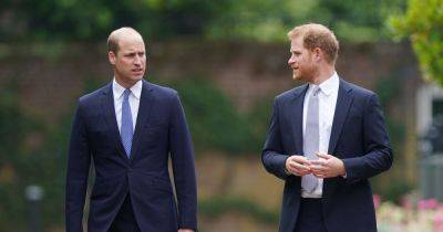 Harry and William preparing for new bombshell claims about Diana in TV documentary - www.dailyrecord.co.uk