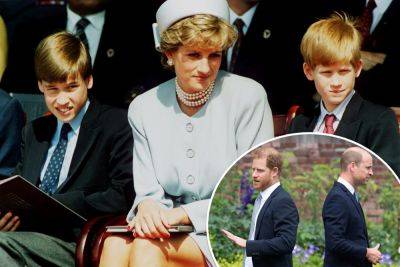 Princess Diana would have ‘broken heart’ over Harry’s ‘desertion,’ William has ‘drawn a line in the sand’: expert - nypost.com - London