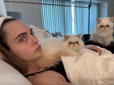 Cara Delevingne Reveals Her Beloved Cats Died In House Fire - perezhilton.com