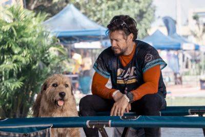 Mark Wahlberg Canine Pic ‘Arthur The King’ Gets Scraps At The Box Office: Here’s Why - deadline.com - Washington