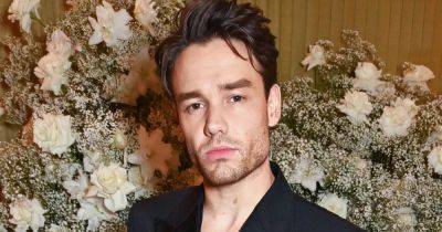 Liam Payne shares very rare pic of son Bear - and fans all ask same question - www.ok.co.uk - Britain