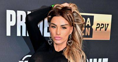 Katie Price makes major career change as she signs up to fight Jersey Shore star - www.ok.co.uk - Britain - USA - Jersey - New Jersey