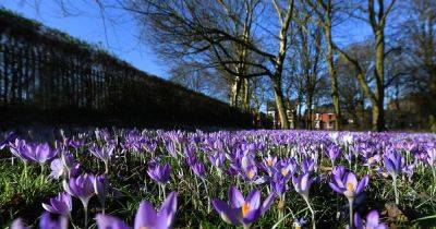 Met Office easter forecast says Greater Manchester set for mixed weather over weekend - www.manchestereveningnews.co.uk - Britain - Manchester