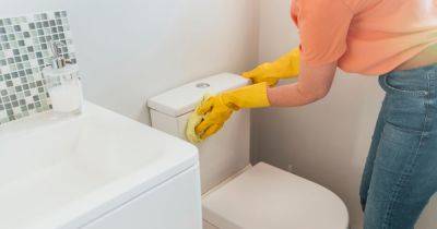 Mrs Hinch fans share three cheap ways to get rid of tough yellow toilet seat stains - www.dailyrecord.co.uk