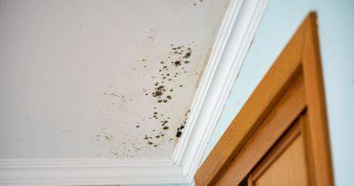 Woman disgusted to find brown marks on ceiling weren't mould but something else - www.dailyrecord.co.uk - Britain