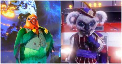 ‘The Masked Singer’ Reveals Identities of Koala and Love Bird: Here Are the Celebrities Under the Costumes - variety.com