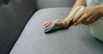 Woman shares genius way to get tough stains off sofa with just one pot lid - www.dailyrecord.co.uk