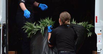 Cops seen piling huge cannabis plants into van after bust at Scots home - www.dailyrecord.co.uk - Scotland