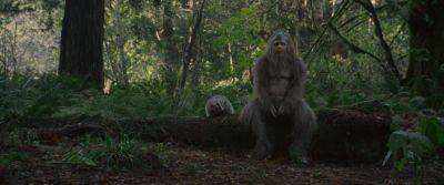 ‘Sasquatch Sunset’ Bigfoots 800+ Screens In Week 2 Expansion: “It’s A Wildcard” – Specialty Preview - deadline.com - California - Switzerland