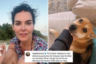 Angie Harmon accuses Instacart delivery driver of shooting and killing her dog - nypost.com