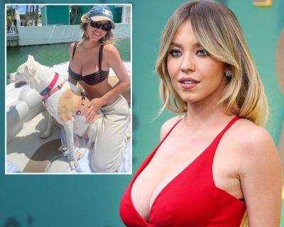Sydney Sweeney Jokes About Her 'Great' Boobs Following THAT Producer's Nasty Comments! - perezhilton.com - Mexico