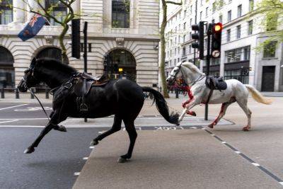 News Networks Descend On Central London As Bloody Horses Run Wild Through The Streets - deadline.com