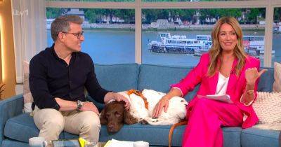 This Morning's Ben Shephard takes over hosting as Cat Deeley breaks down in tears - www.ok.co.uk