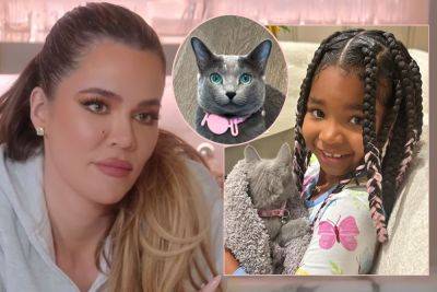 Khloé Kardashian Got Daughter True A Second Cat! Will She Facetune This One, Too?? - perezhilton.com - USA - Russia
