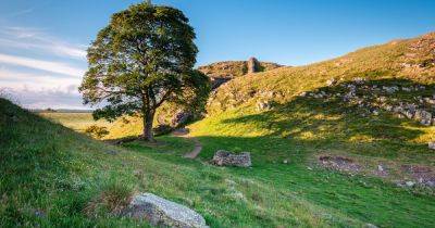 Sycamore Gap tree felling latest as two men charged with criminal damage - www.dailyrecord.co.uk - county Northumberland