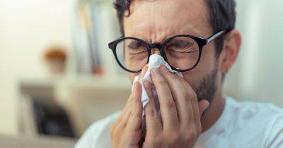 'I'm a sleep expert - here's how to allergy-proof your room during hay fever season' - www.dailyrecord.co.uk - Britain